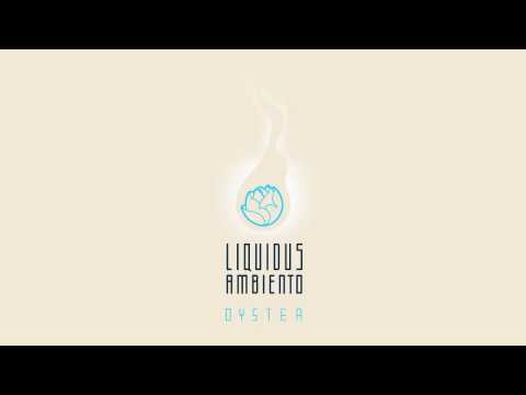 Liquidus Ambiento - Lo-Fi Sinergy - feat.:: Cesar Pierri A.k.a CESRV