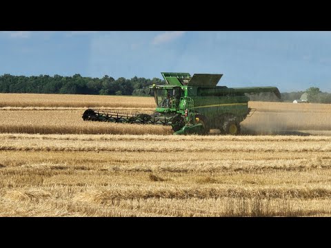 Dad Says it's Time to Start Wheat Harvest!!! - #712