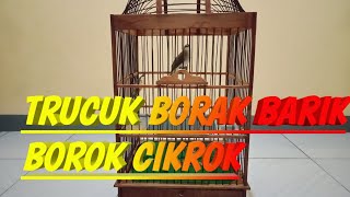 Download lagu TRUCUK BORAK BARIK BOROK CIKROK mp3