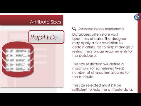 Design - Data Dictionaries