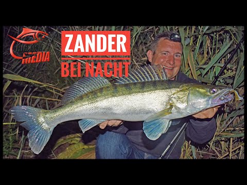 Der Vampirjäger - Zanderangeln in der Nacht - Unterwegs mit Veit Wilde
