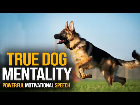 True Dog Mentality: Becoming Unstoppable With A Powerful Speech 2022