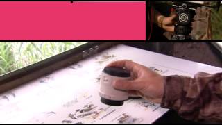 NTR Academie: Natuurfotografie