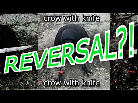 REVERSAL HAPPENING??! - CROW WITH KNIFE $ CAW - LISTED ON CRYPTO.COM & BITMART! 1000x MEME COIN 