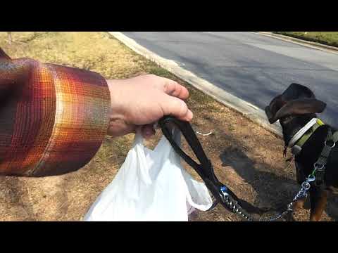 20210310 122744 losing my shit on blind people lol