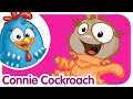 Connie Cockroach Lottie Dottie Chicken Nursery Rhymes For Kids