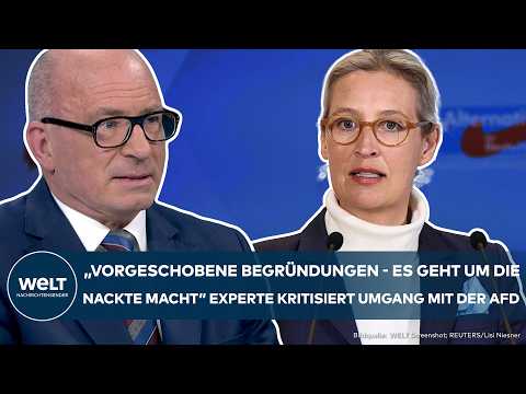 AfD: "Geht um die nackte Macht" Ausschuss-Streit! Staatsrechtler kritisiert Umgang mit Weidel-Partei