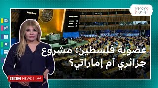 عضوية فلسطين بالأمم المتحدة.. هل هو مشروع جزائري أم إماراتي؟