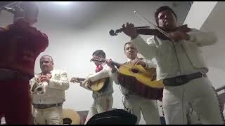 Video de Mariachis Uno A , Mezcal y Tequila