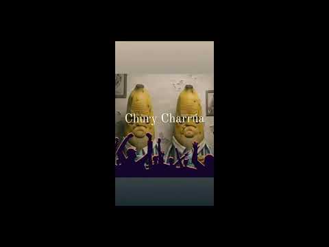 CHURY CHARRÚA - FLEX