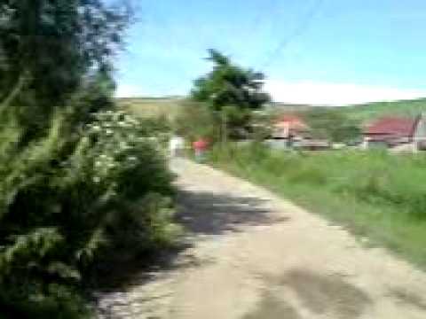 inundatii borsa catun