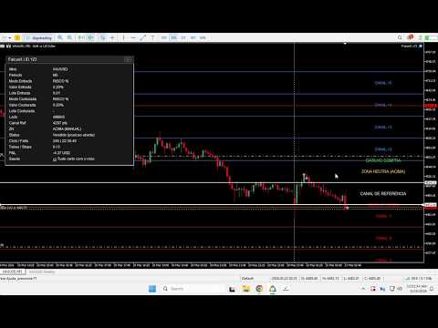 Video Fimathe FalconX