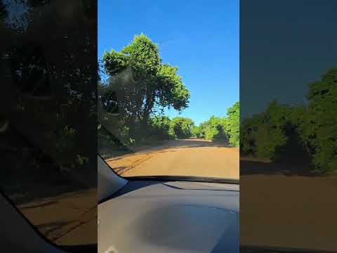 Andando na estrada de chão passando pela vazante do Rio Negro 🌊 / #rio #rionegro