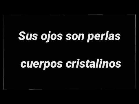 Nuevo de el cejas_omar montes_hamza zaidi_Dame un beso Letra