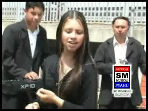 Desilusión - Ramonita vera y su grupo tropical