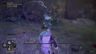 【ELDEN RING】探索　パート10