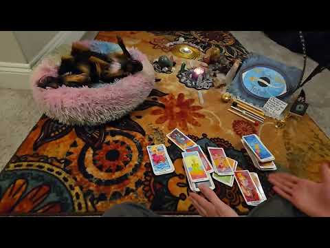 You're a descendant of Mary M. & Yeshua. Survivor of the worst kind of evil.