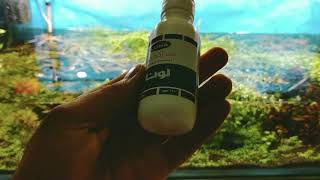 القضاء ع طحالب الشعر الخضراء GHA بماء الاكسجين تعديل : الجرعة زائدة تسببت بمشكلة الرجاء مشاهدة Part2