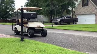 Monkey driving a golf cart