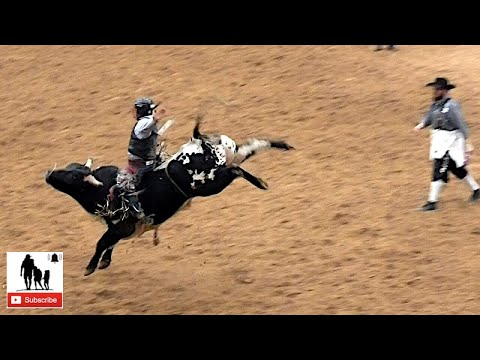 Senior Bull Riding - 2019 Junior Bull Riding National Finals #NJBRA - Round 3
