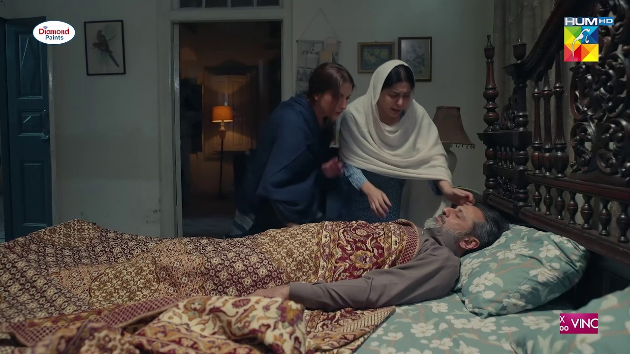 Akram Ki Achanak Maut Kaise Huwi...? #Hurmat - ft. Dananeer Mobeen - HUM TV