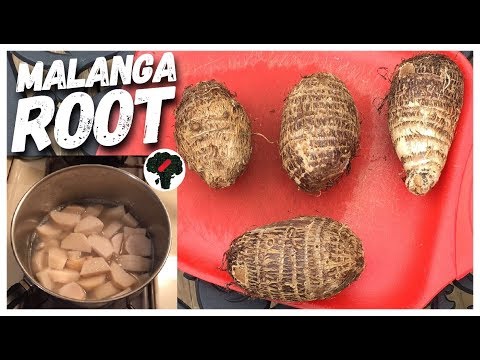 How To Cook Malanga Root