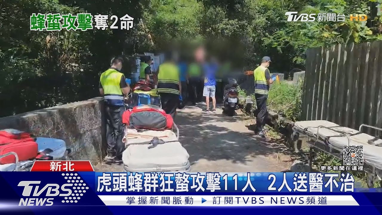 虎頭蜂群狂螫攻擊11人!2人送醫不治