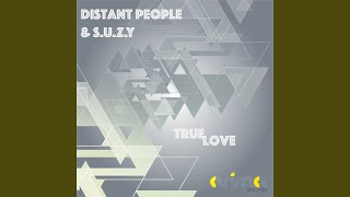True Love (Instrumental Mix)