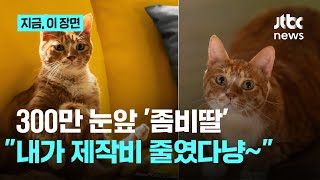 좀비딸 김애용 배우 캐스팅 비하인드