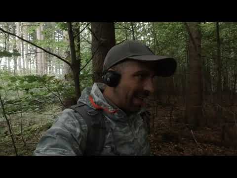 Einfach Sondeln #02 - kleine Runde im Wald