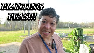 DIG INTO My New In-Ground Garden Bed And PLANTING Peas!