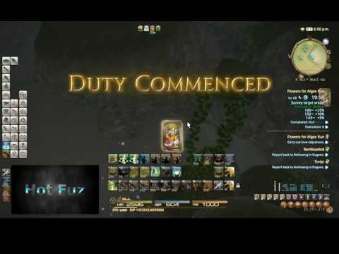 FFXIV Botany 64-66 leve leveling