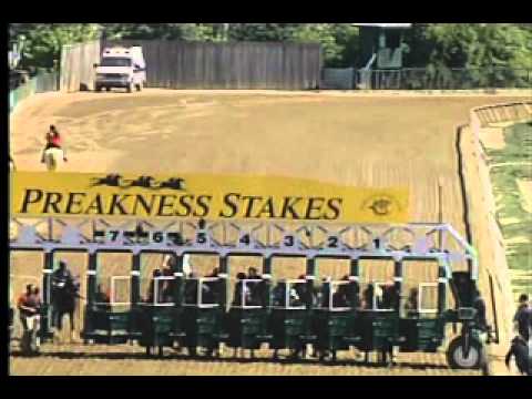 Pimlico 051912 Race 2 Deputed Testimony