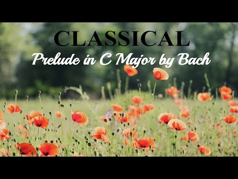 Prelude in C Major by Bach - Classical Piano Instrumental No Copyright Music