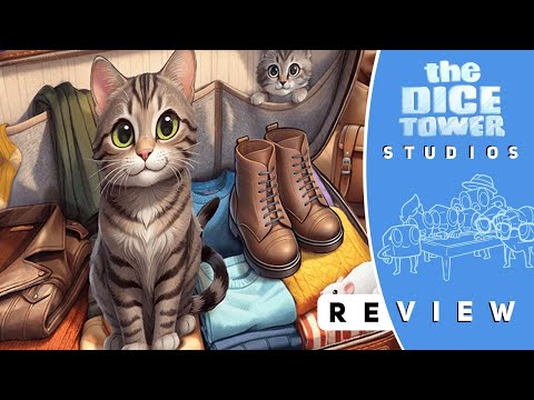 Pack the Essentials Review: Cat in the Bag