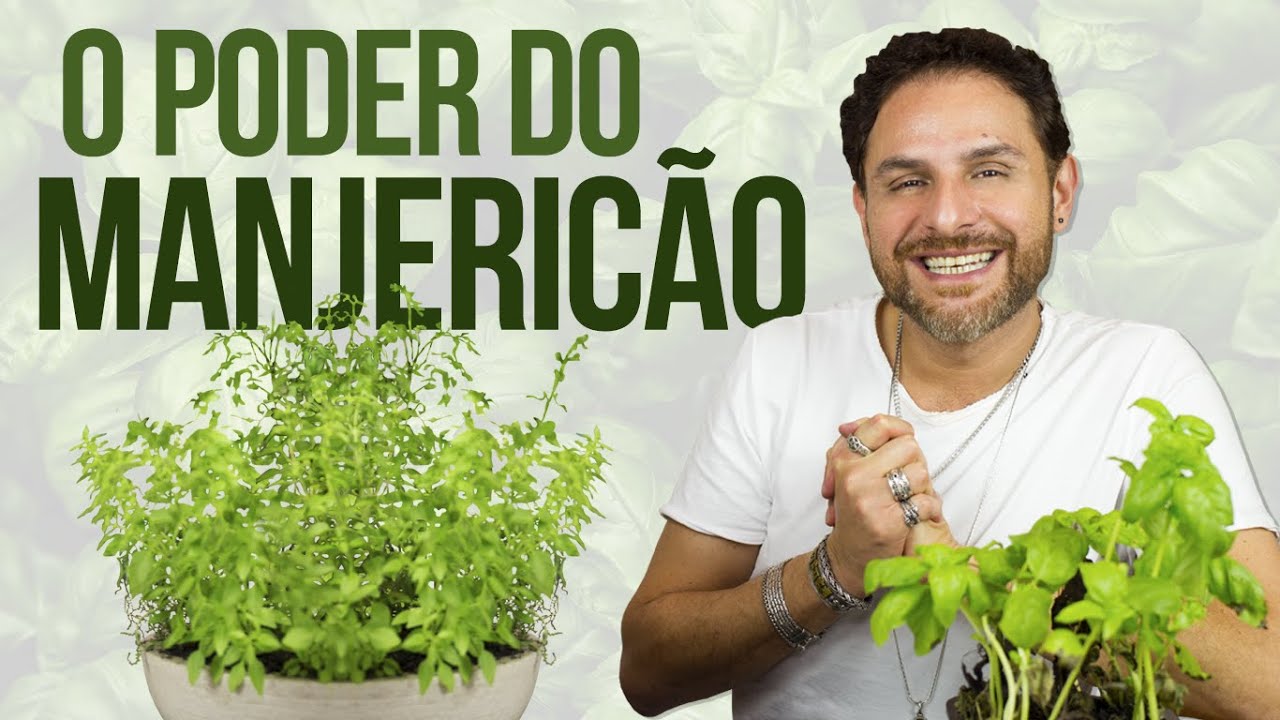 MANJERICÃO: O PODER MÁGICO E SEUS RITUAIS | com Daniel Atalla