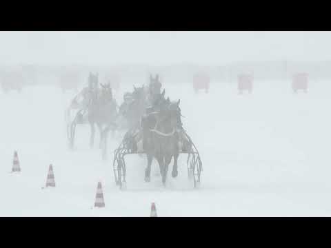 1 GP GAMMACATERING - IN MEMORIAM ANKE KRAUSE