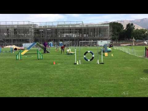 Bev and Pixie - Advanced Standard (14") - 2015-05-31