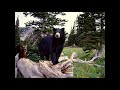 Black Bear Sounds