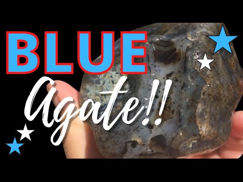 INCREDIBLE rock hunt! BLUE agates, HUGE petrified wood...