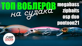 Рекламный воблер москва