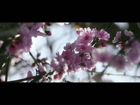 Yzkk - CRAZY 愛する (official lyric video)