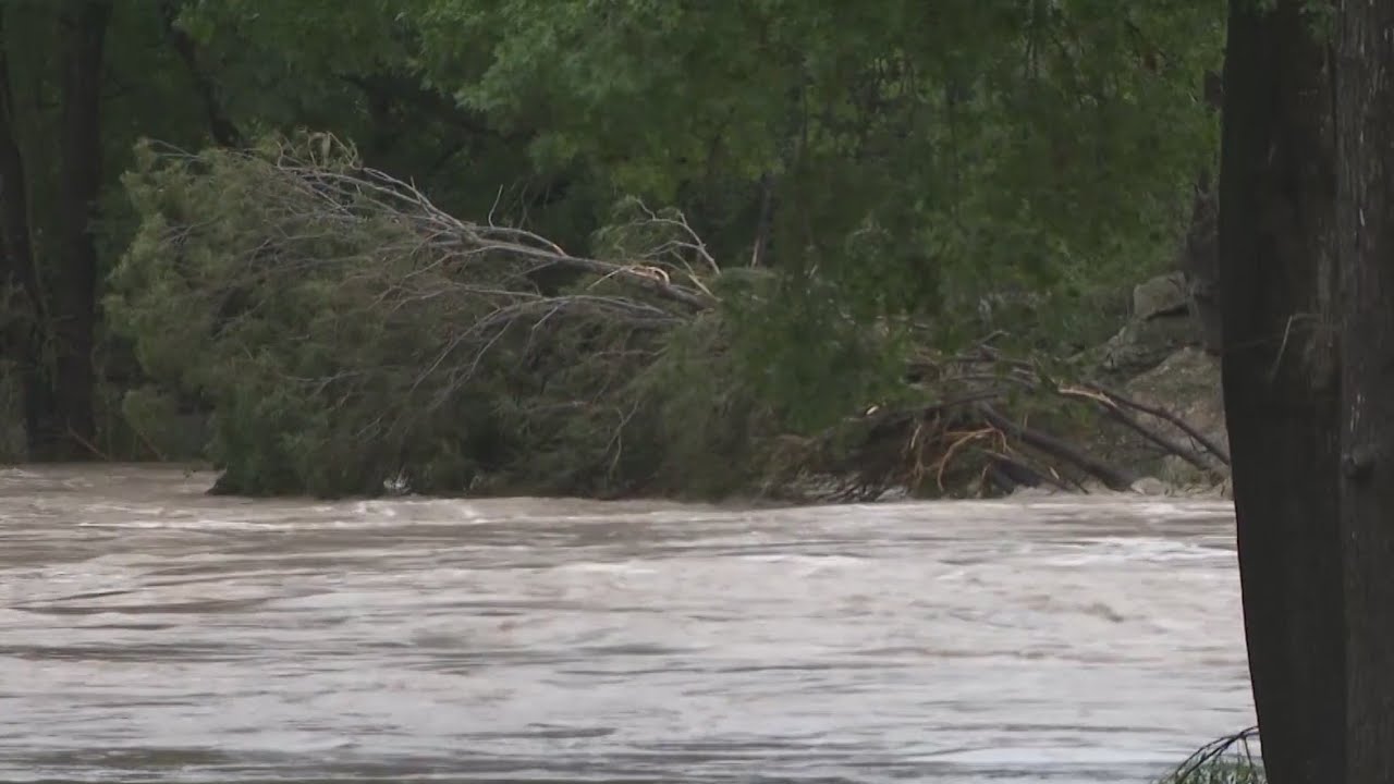 Google Tests AI-Powered "Ask YouTube" Search Feature | GAI Brand News