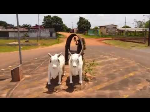 CORONEL SAPUCAIA (MS)