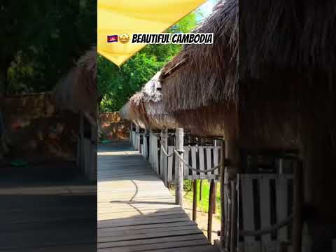 🇰🇭🤩 Beautiful Cambodia #cambodia #travelvlog #travelasia #giantibis #backpackingasia