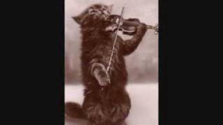 cold mountain music cotton eye joe.wmv