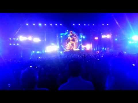 Axwell killing it in Sunburn Goa - Vagator 2013 December 29