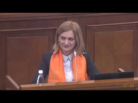 Doina Gherman - declarație la sfârșitul ședinței plenare