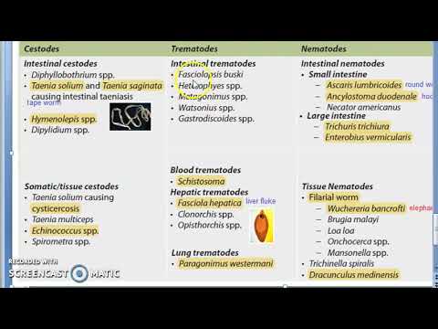 Helminthiasis az arcon