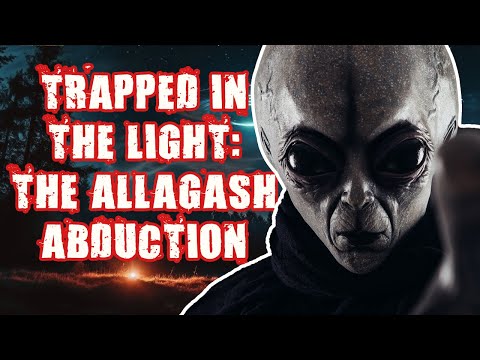 The Allagash Encounter: A True UFO Abduction Story #alien #scary #strange